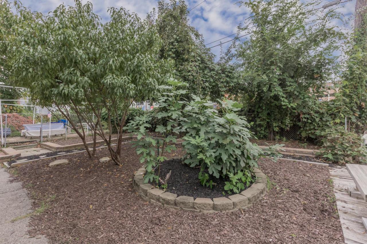 In The Heart Of Little Italy! Free Parking! Apartamento Cleveland Exterior foto